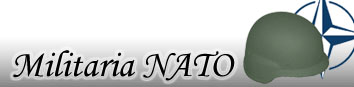 Nessun nuovo messaggio